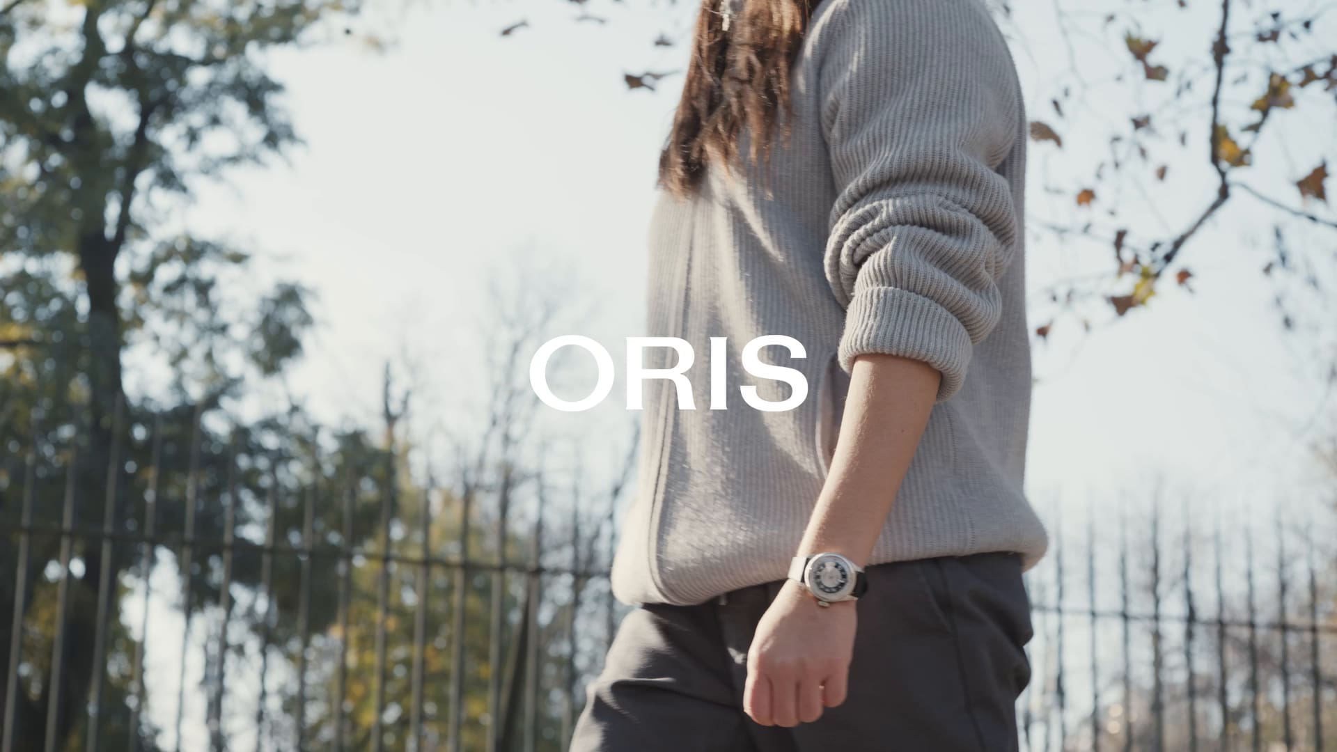 Big Crown Pointer Date Bullseye - 01 754 7779 4061-07 5 19 25 | Oris
