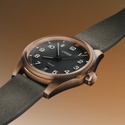 01 733 7805 3164-07 6 20 22BRLC - ProPilot Bronze