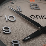 01 733 7802 8766-07 4 20 30GLC - ProPilot Desert Edition - cus 02