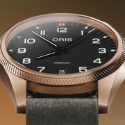 01 733 7805 3164-07 6 20 22BRLC - ProPilot Bronze