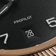 01 733 7805 3164-07 6 20 22BRLC - ProPilot Bronze