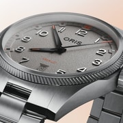 01 733 7805 4163-07 8 20 04LC - ProPilot Date