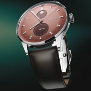 01 782 7811 4056-07 6 20 17FC - Artelier Complication - cus 04