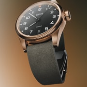 01 733 7805 3164-07 6 20 22BRLC - ProPilot Bronze
