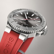 01 733 7789 4153-07 4 23 36FC - Aquis Date Relief