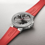 01 733 7789 4153-07 4 23 36FC - Aquis Date Relief