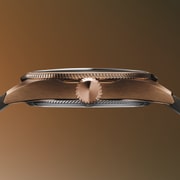 01 733 7805 3164-07 6 20 22BRLC - ProPilot Bronze