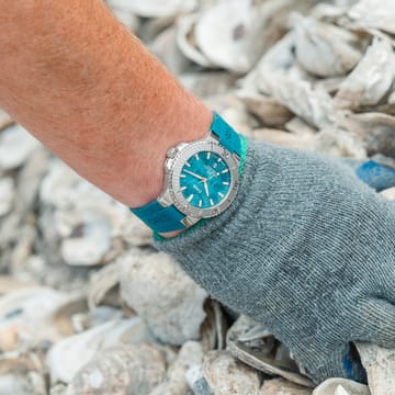 New York Harbor Limited Edition II