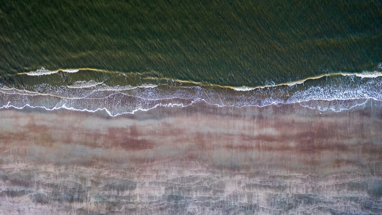 The Wadden Sea