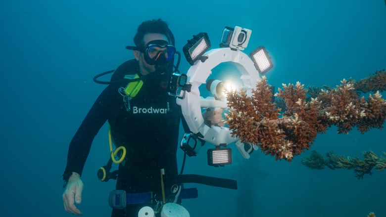 Resilient Reefs Foundation_03_monitoring_credit Resilient Reefs Foundation.jpg