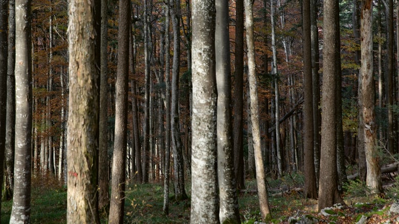 Oris Nature Waldenburg Valley