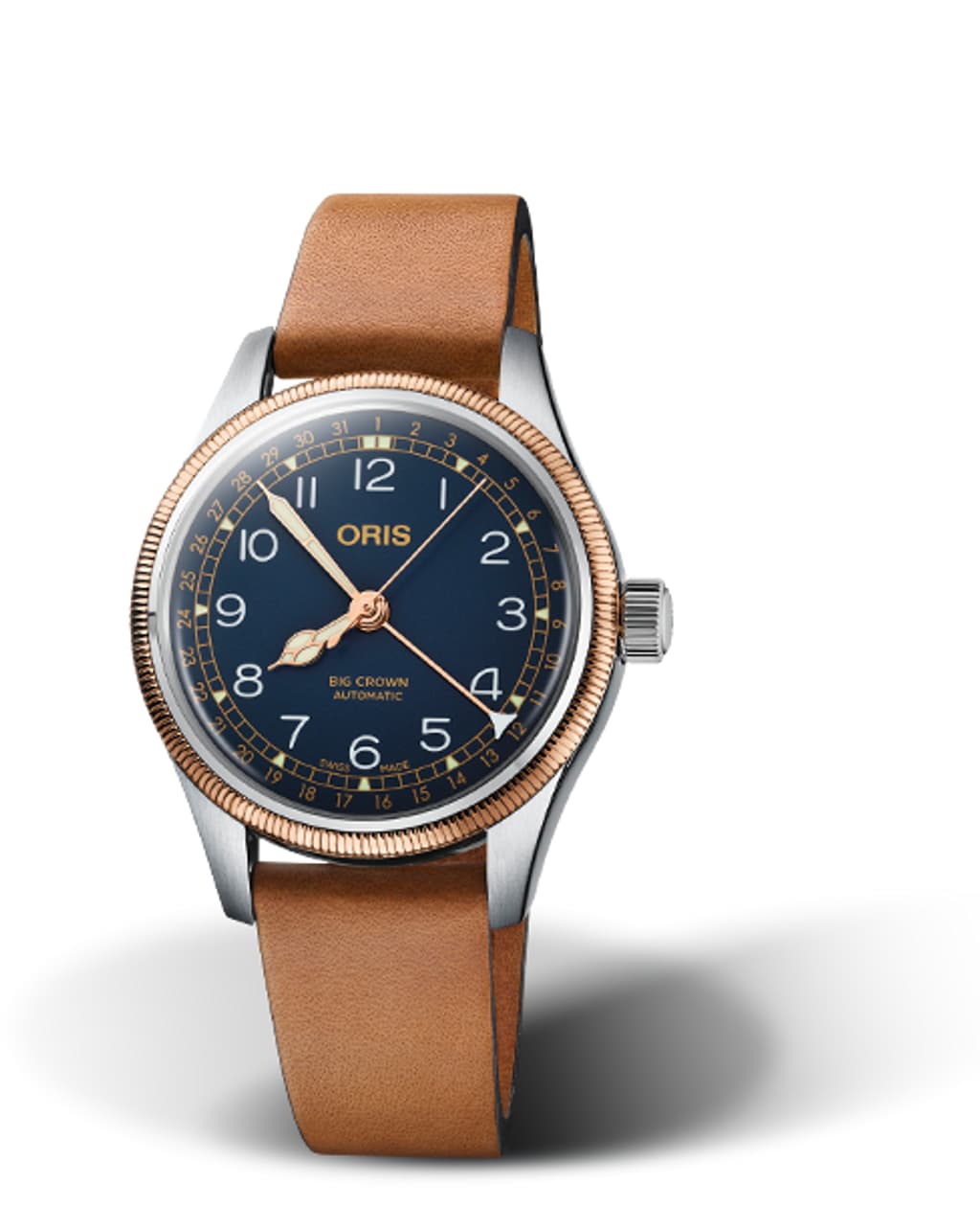 Vertical image of  Big Crown Pointer Date
