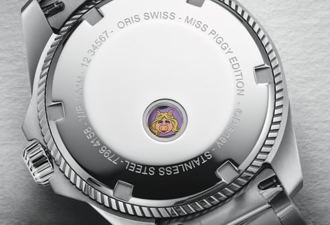 01 531 7796 4158-07 8 17 05LC - ProPilot X Miss Piggy Edition